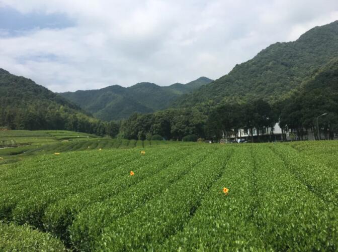 太阳成集团122ccvip杭州团建地点